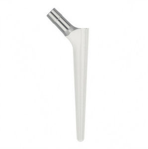 cementless femoral stem 1