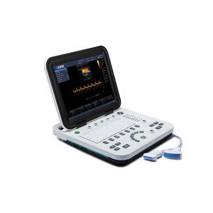 portable ultrasound system