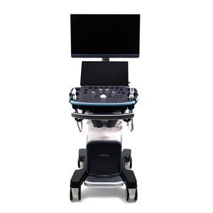 on-platform ultrasound system