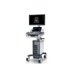 on-platform ultrasound system