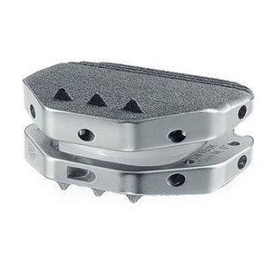 lumbar disc prosthesis