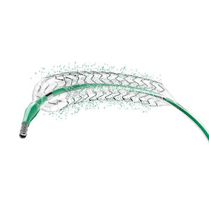 coronary stent