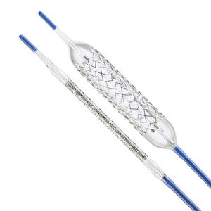 biliary stent