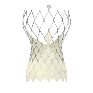 aortic valve bioprosthesis / sutureless