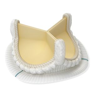 aortic valve bioprosthesis