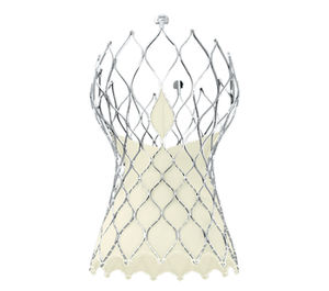 aortic valve bioprosthesis
