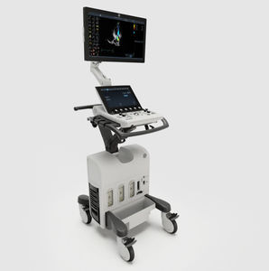 on-platform ultrasound system