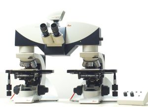 optical microscope