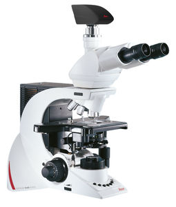 optical microscope