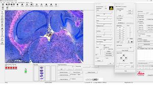 medical software