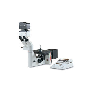 optical microscope 1