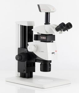 laboratory stereo microscope / digital / binocular / zoom