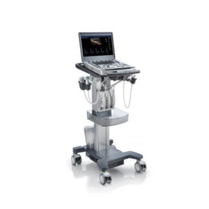 portable ultrasound system