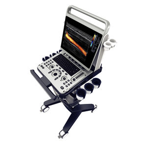 portable, with trolley ultrasound system
