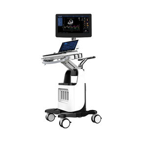 on-platform ultrasound system