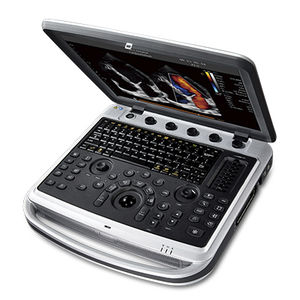 portable ultrasound system