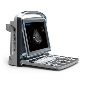portable ultrasound system