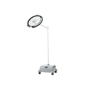 LED examination light