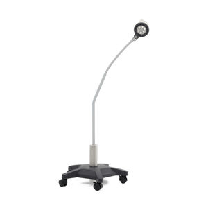 veterinary examination lamp