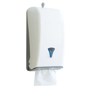 paper towel dispenser 1
