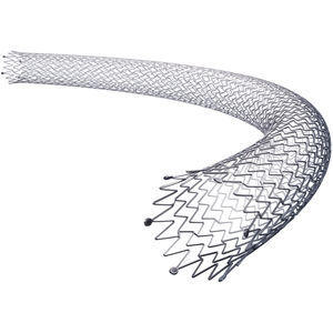 peripheral stent