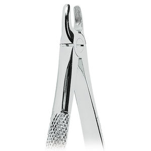 canine teeth extraction forceps