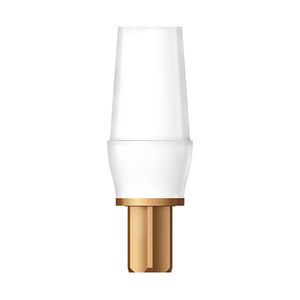 titanium implant abutment 1