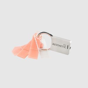 dental shade guide 1