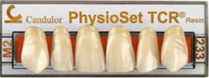 resin dental prosthesis