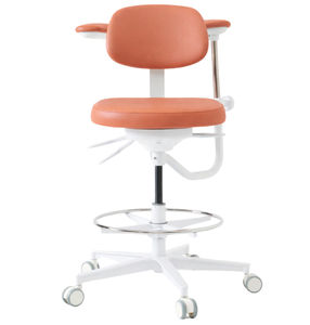 dental stool