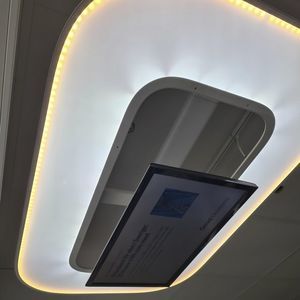 ceiling-mounted lighting