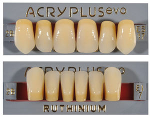 acrylic dental prosthesis