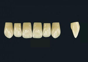 polymer acrylic dental prosthesis 1