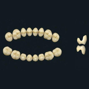 polymer acrylic dental prosthesis 1