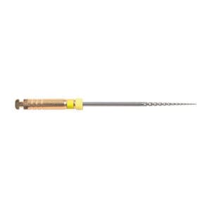 rotary endodontic file 1