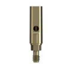straight implant abutment