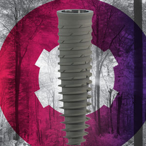 cylindro-conical dental implant