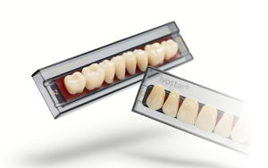 PMMA dental prosthesis