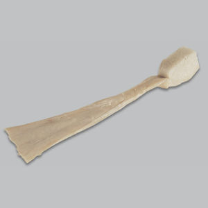 calcaneal tendon ligament prosthesis