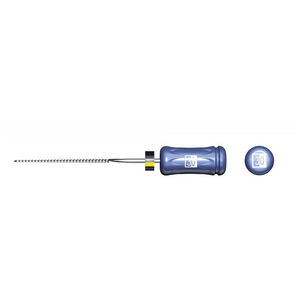 rotary endodontic file
