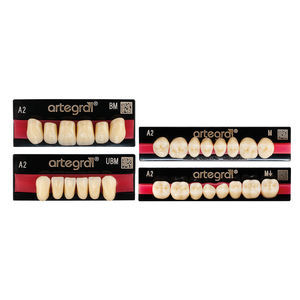 PMMA dental prosthesis