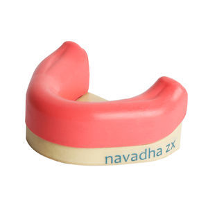 mandible model
