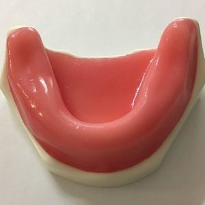 mandible model 1