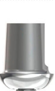 straight implant abutment / anatomical / titanium / internal