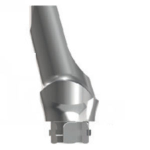 angulated implant abutment / anatomical / titanium / internal