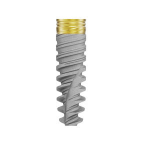 conical dental implant 1