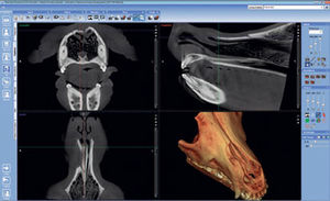 veterinary dental imaging software