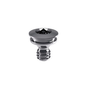 titanium implant screw