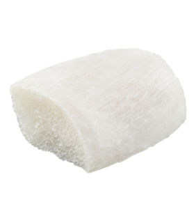 xenograft bone substitute
