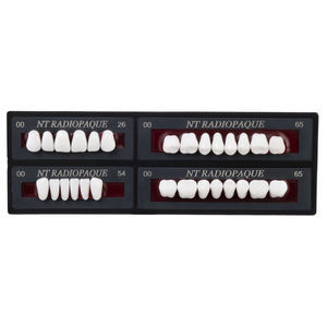 dental prosthesis 1